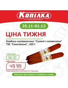 Акційна газета Копилка, дійсна з 2024-11-25 по 2024-12-01.