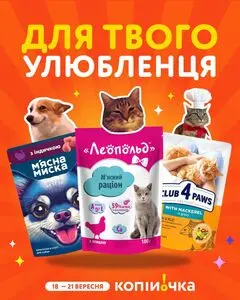 Копійочка