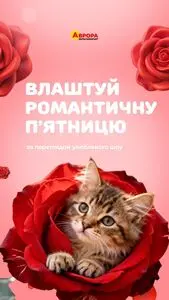 Акційна газета Аврора, дійсна з 2025-12-12 по 2025-12-14.