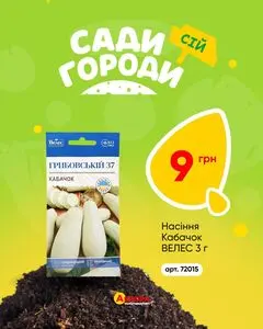 Акційна газета Аврора, дійсна з 2026-02-09 по 2026-02-15.