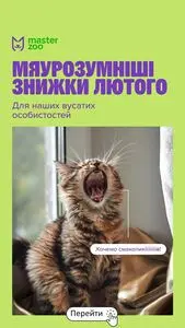 Акційна газета MasterZoo, дійсна з 2026-02-03 по 2026-03-02.