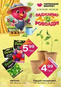 Акційна газета Червоний маркет, дійсна з 2026-02-19 по 2026-03-04.