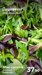 Акційна газета Рукавичка, дійсна з 2026-04-23 по 2026-04-26.