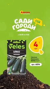 Аврора
