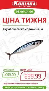 Акційна газета Копілка, дійсна з 2026-06-08 по 2026-06-14.