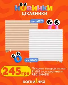 Копійочка