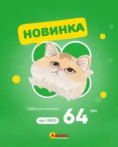 Аврора